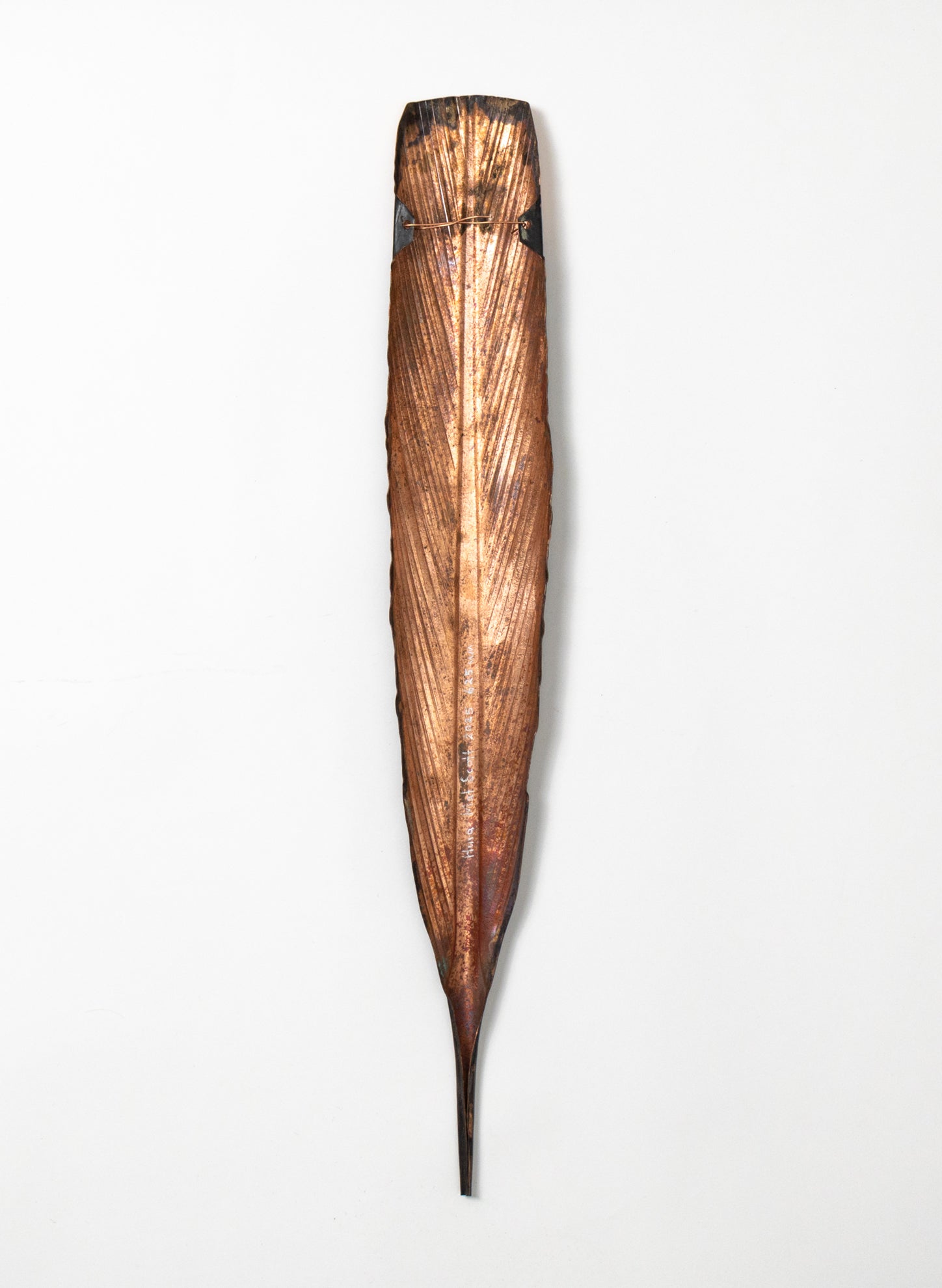 Huia Feather 625mm - Copper