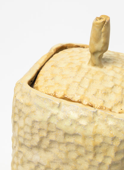 Medium Lidded Vessel 