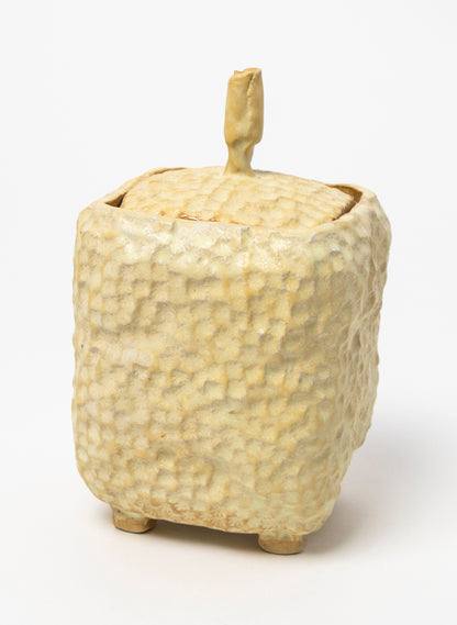 Medium Lidded Vessel 