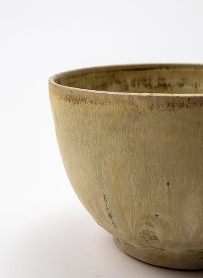 Ramen Bowl