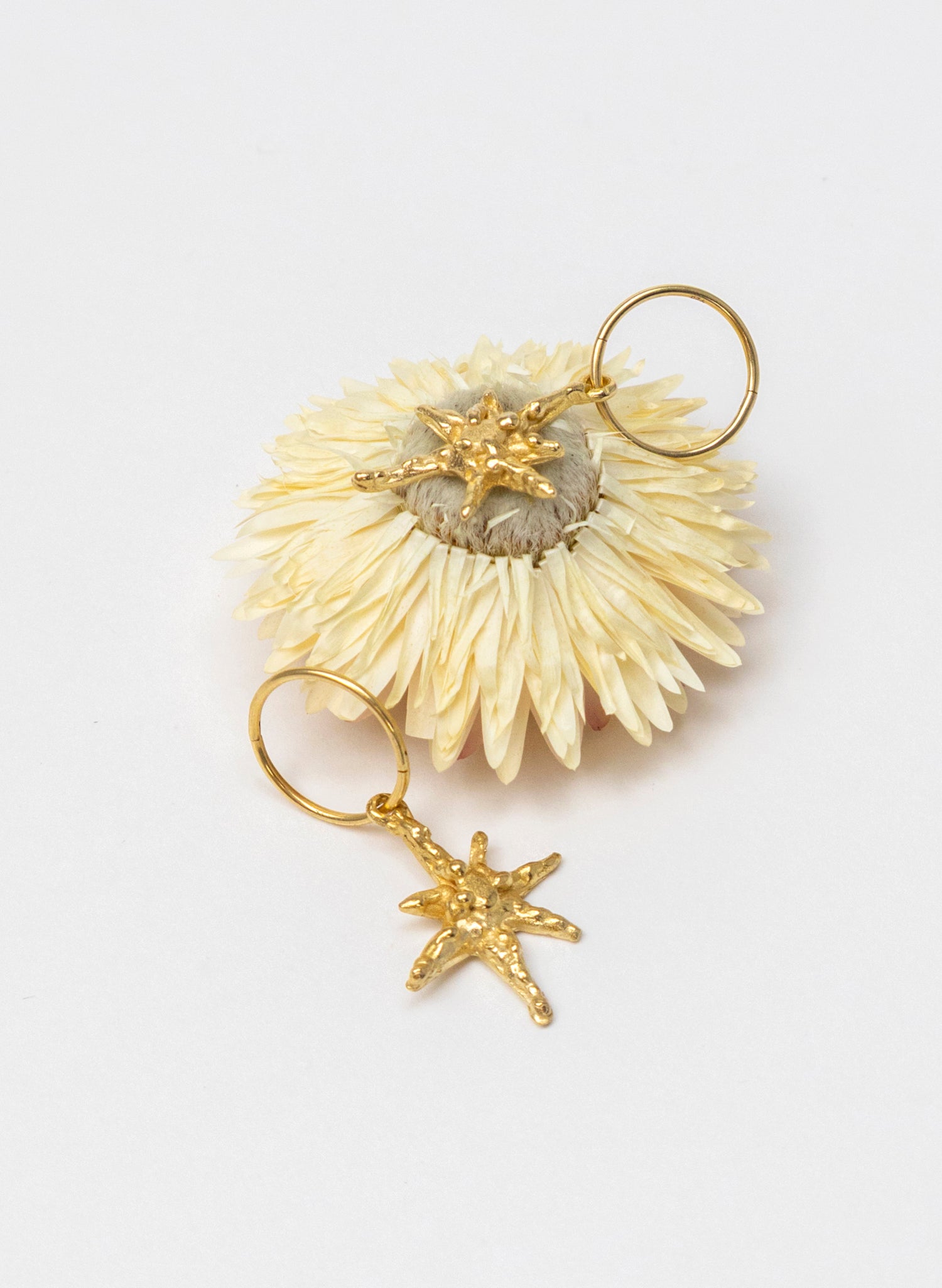 Faerie Star Charm Earrings