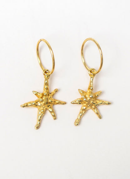 Faerie Star Charm Earrings
