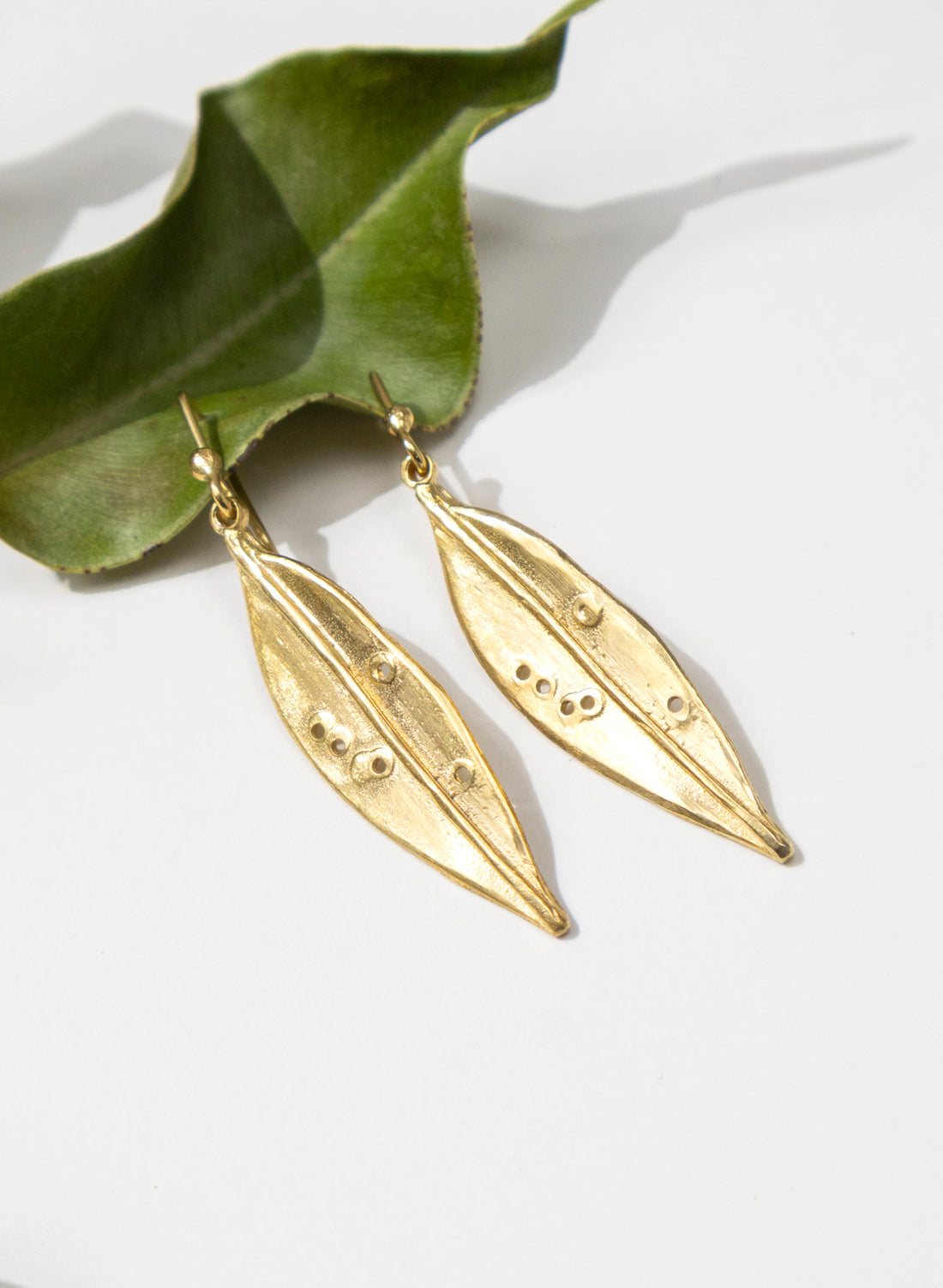 Pohutukawa Leaf Earrings