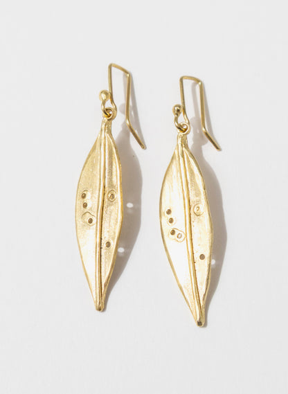 Pohutukawa Leaf Earrings