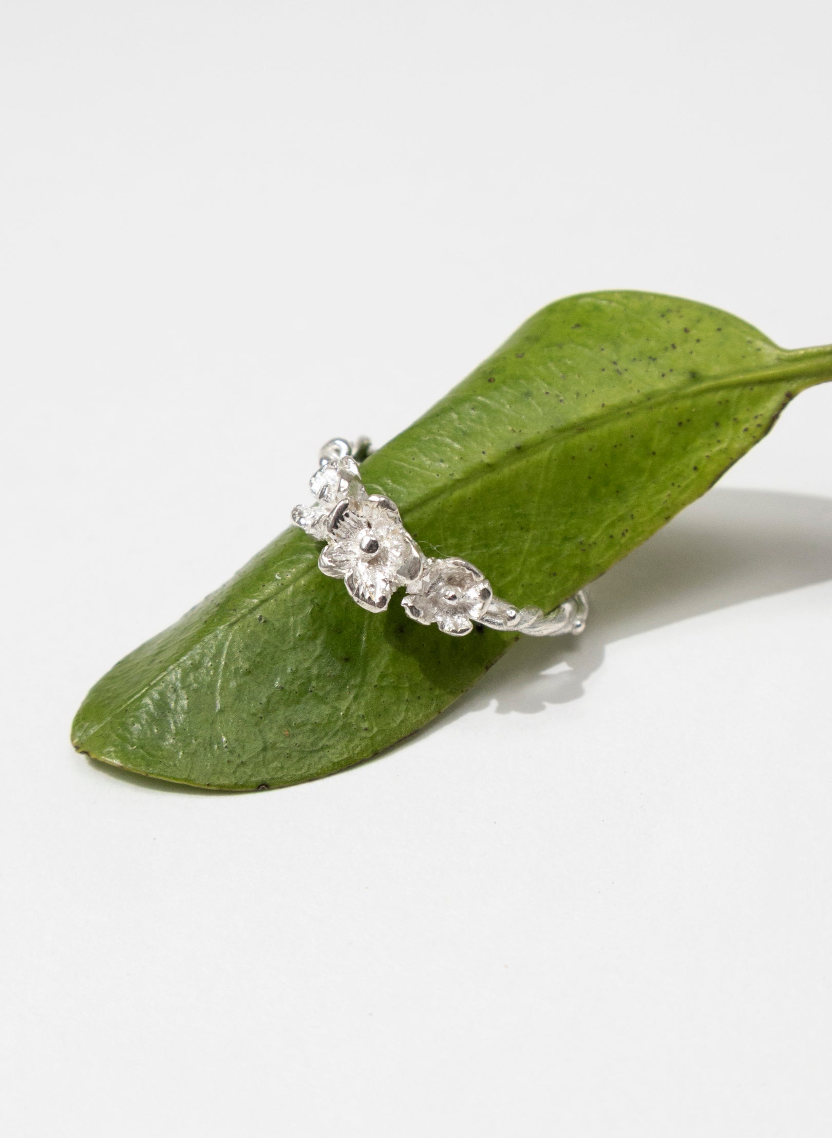 Enchanted Vine Trail Ring