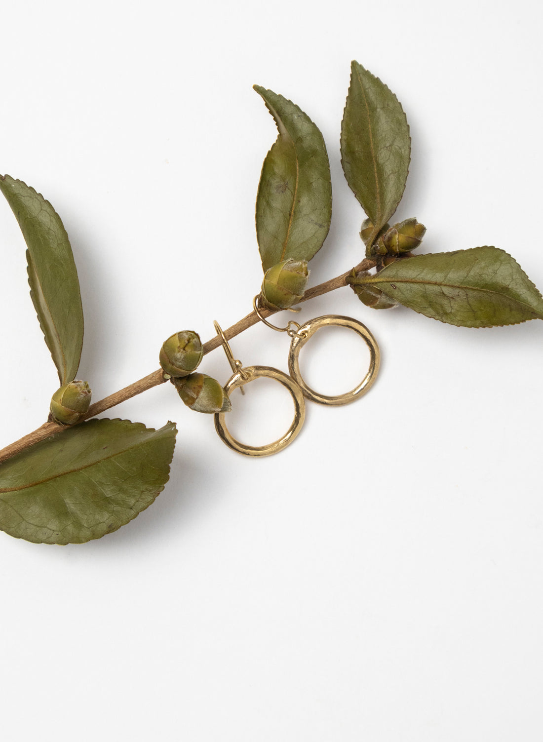 Organic Tales Gold Earrings