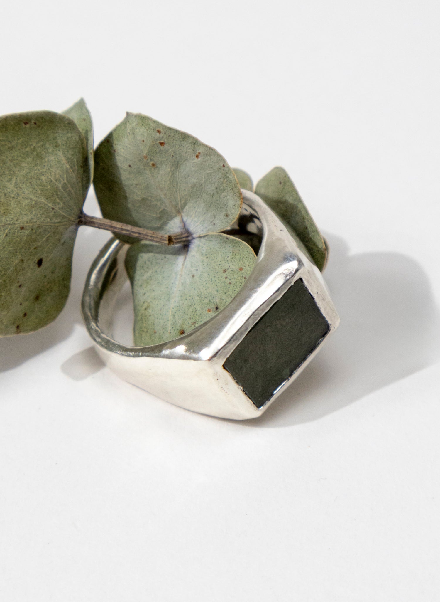 Horoeka Signet Ring