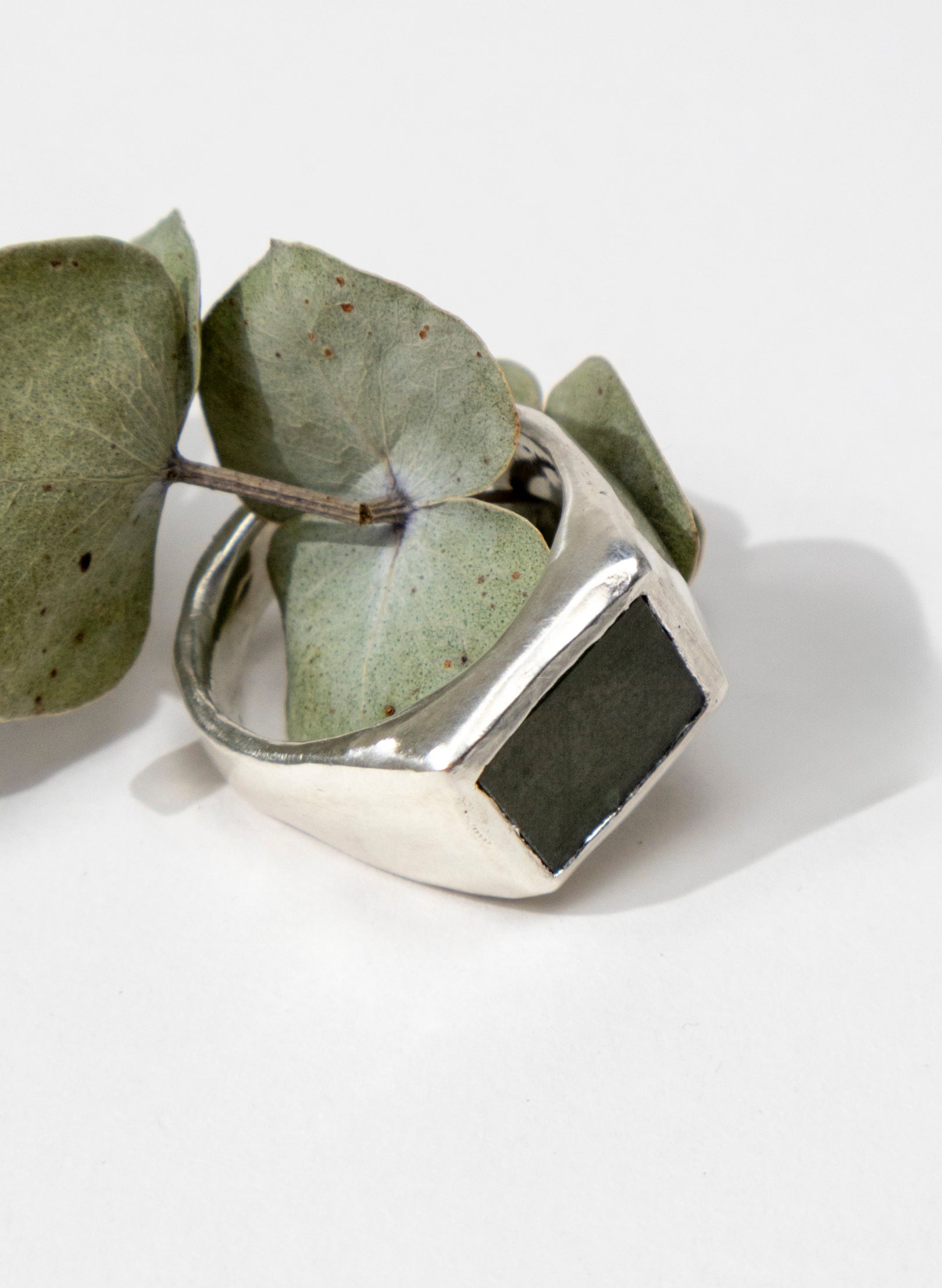 Horoeka Signet Ring