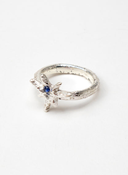 Faerie Star Sandcast Ring