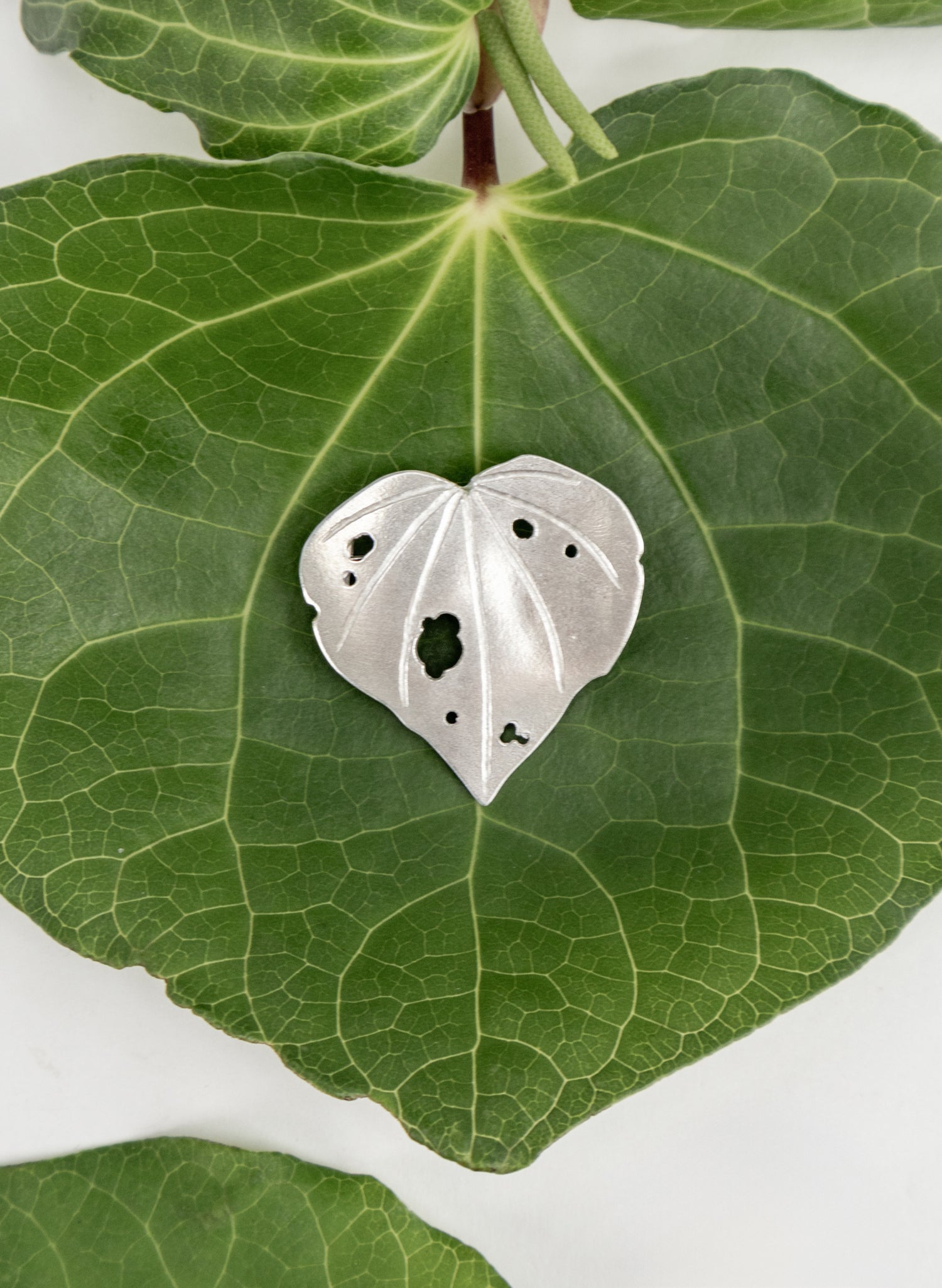Kawakawa brooch