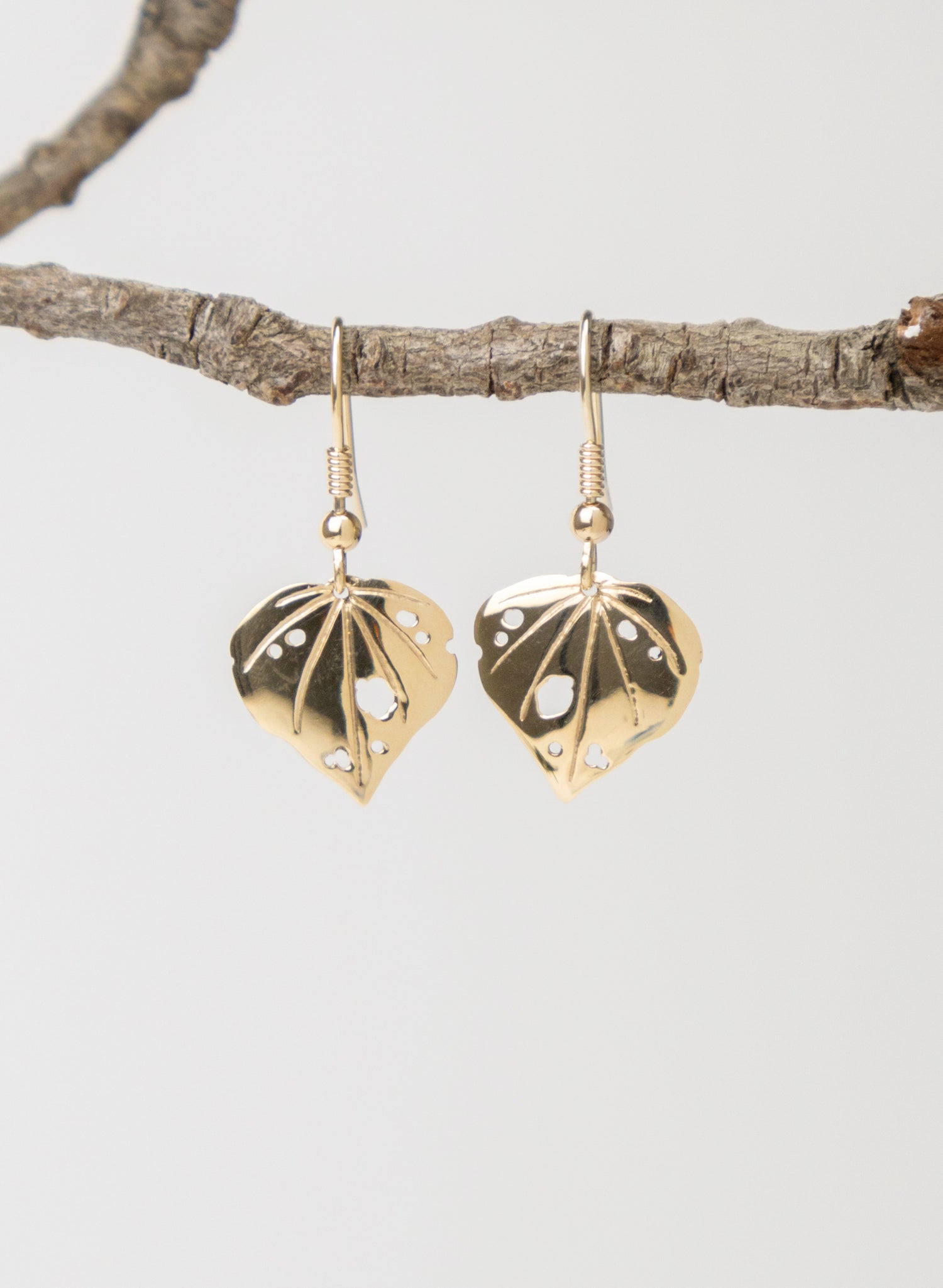 9ct Gold Kawakawa Earring