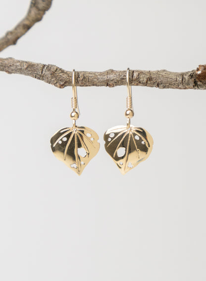 9ct Gold Kawakawa Earring