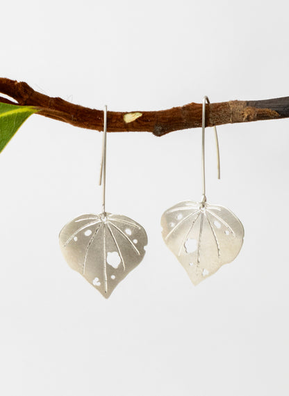Kawakawa - Long Dangles Wide