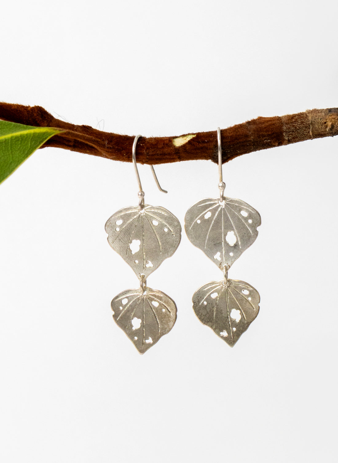 Kawakawa Double Dangles