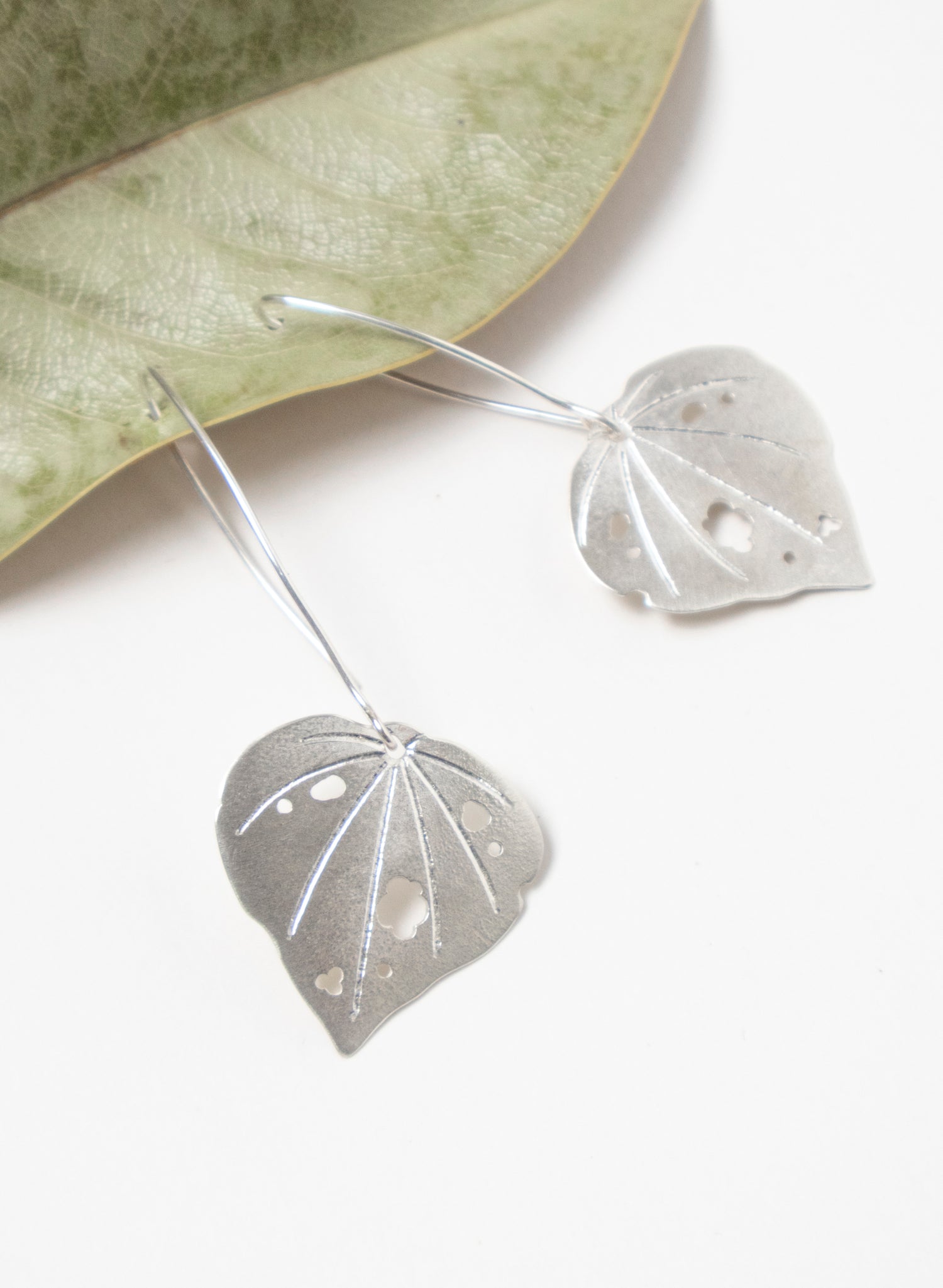 Kawakawa - Large Long Dangles