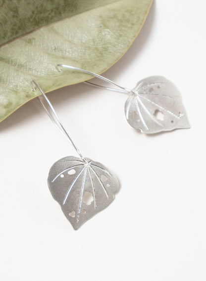 Kawakawa - Large Long Dangles