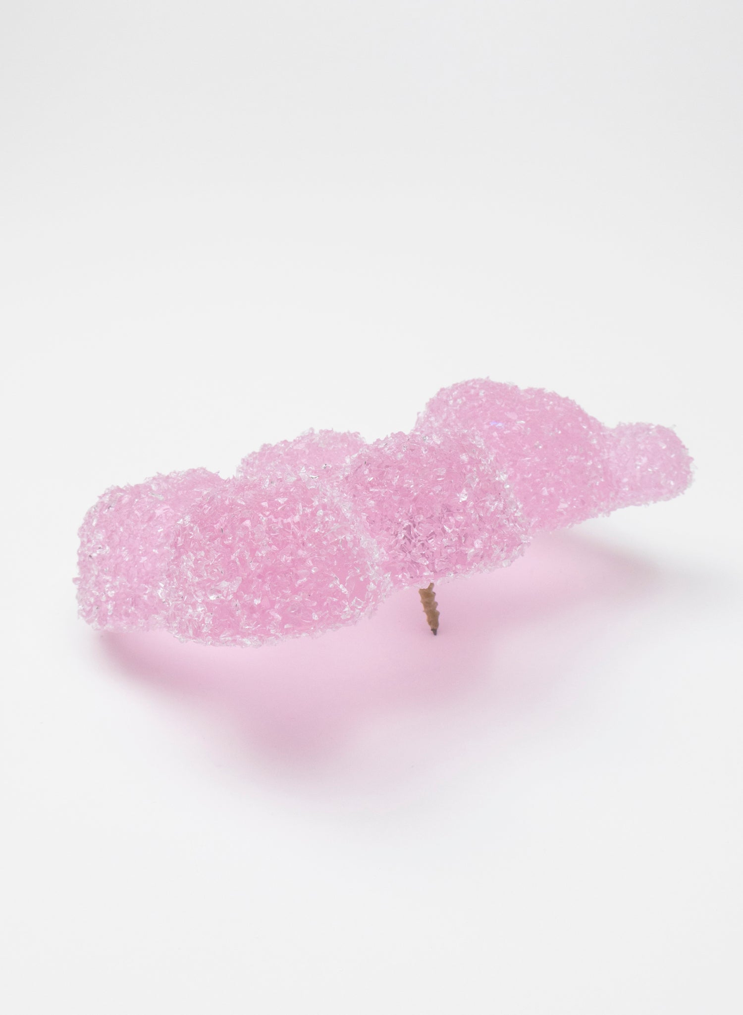 Sour Bear - Fuchsia