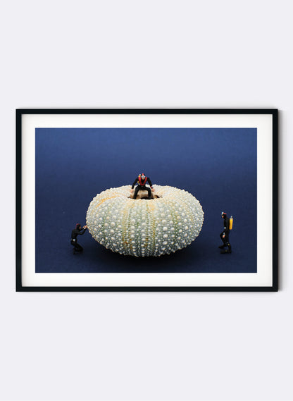 The Bubble&