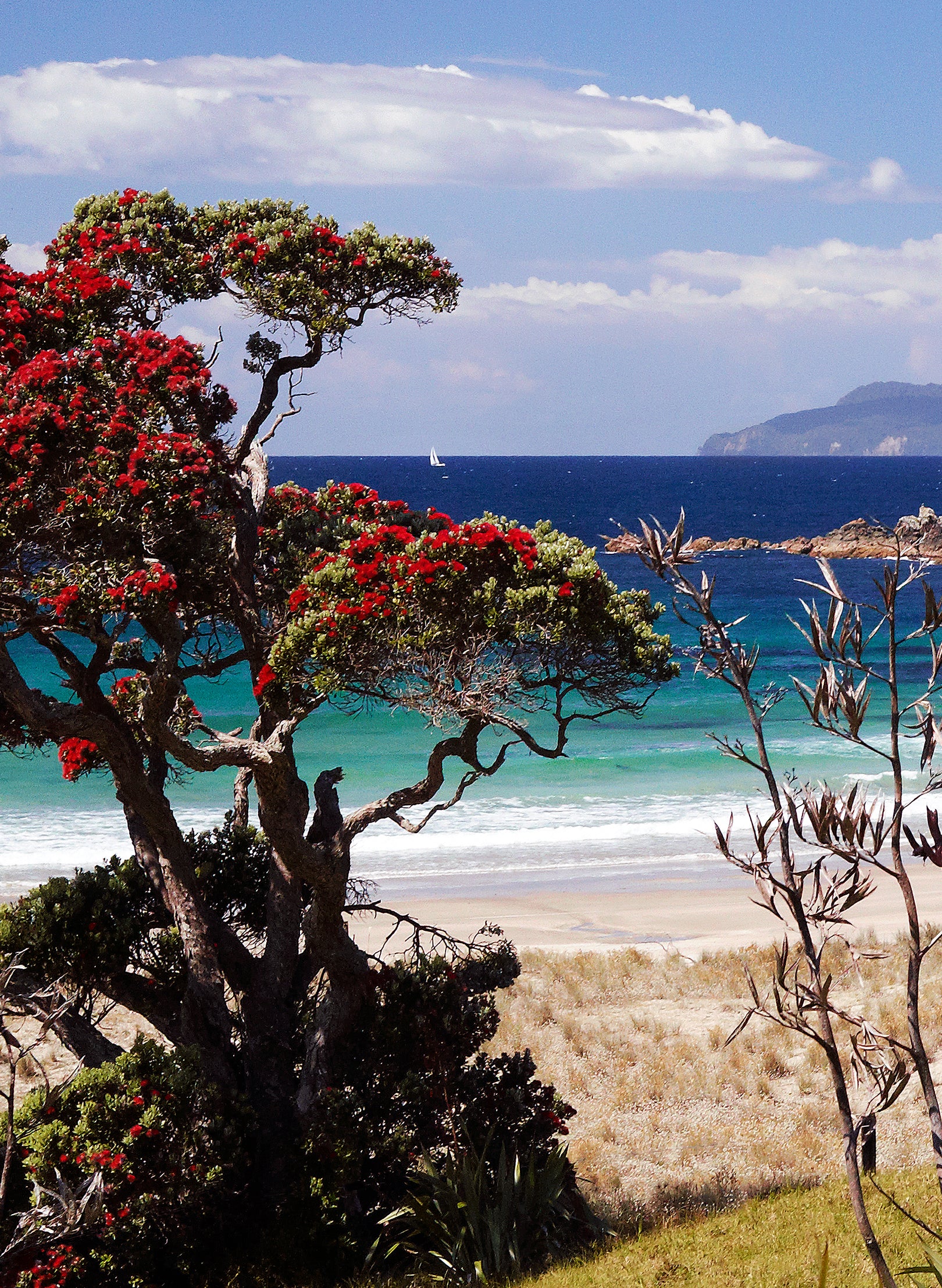 Scarlet Shores - Photographic Print
