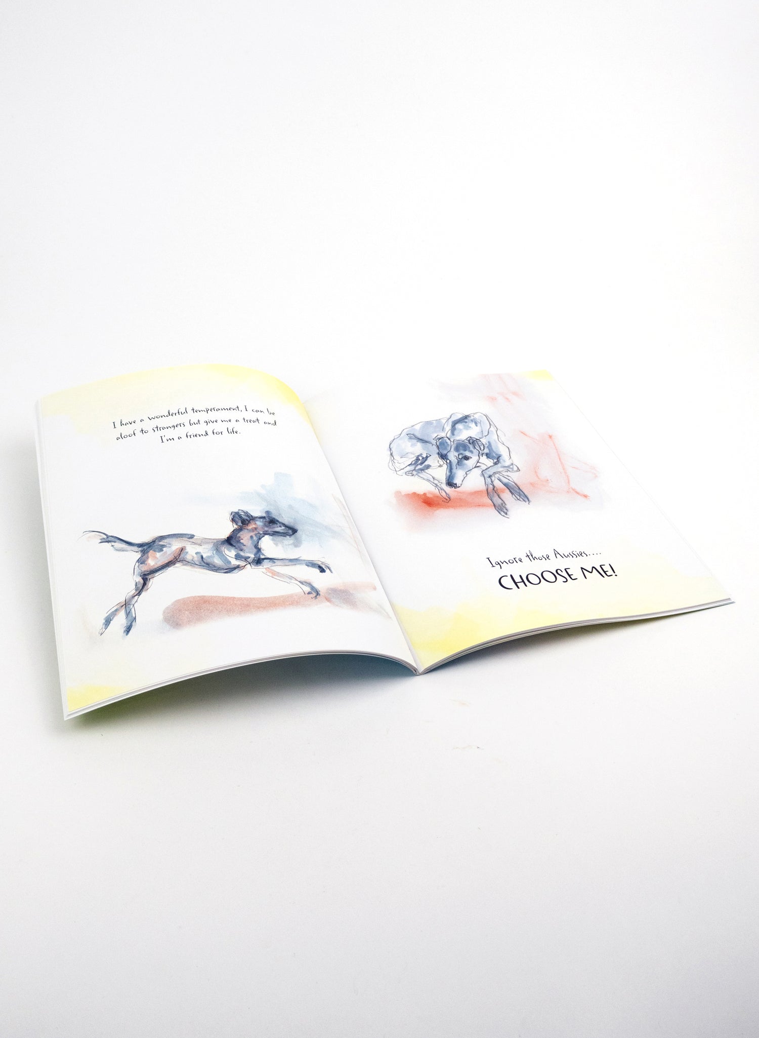 Choose Me - Book