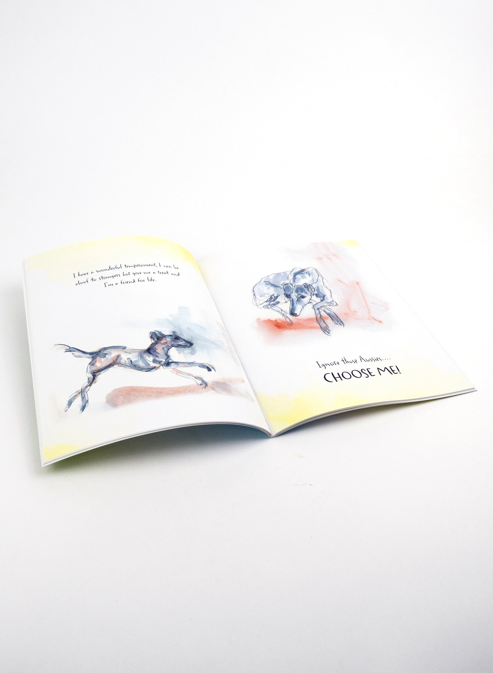 Choose Me - Book