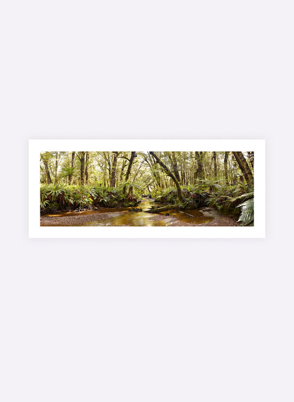 Solitude - Photographic Print