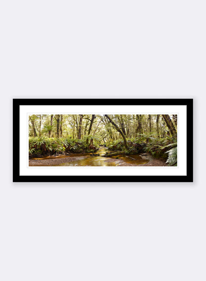 Solitude - Photographic Print