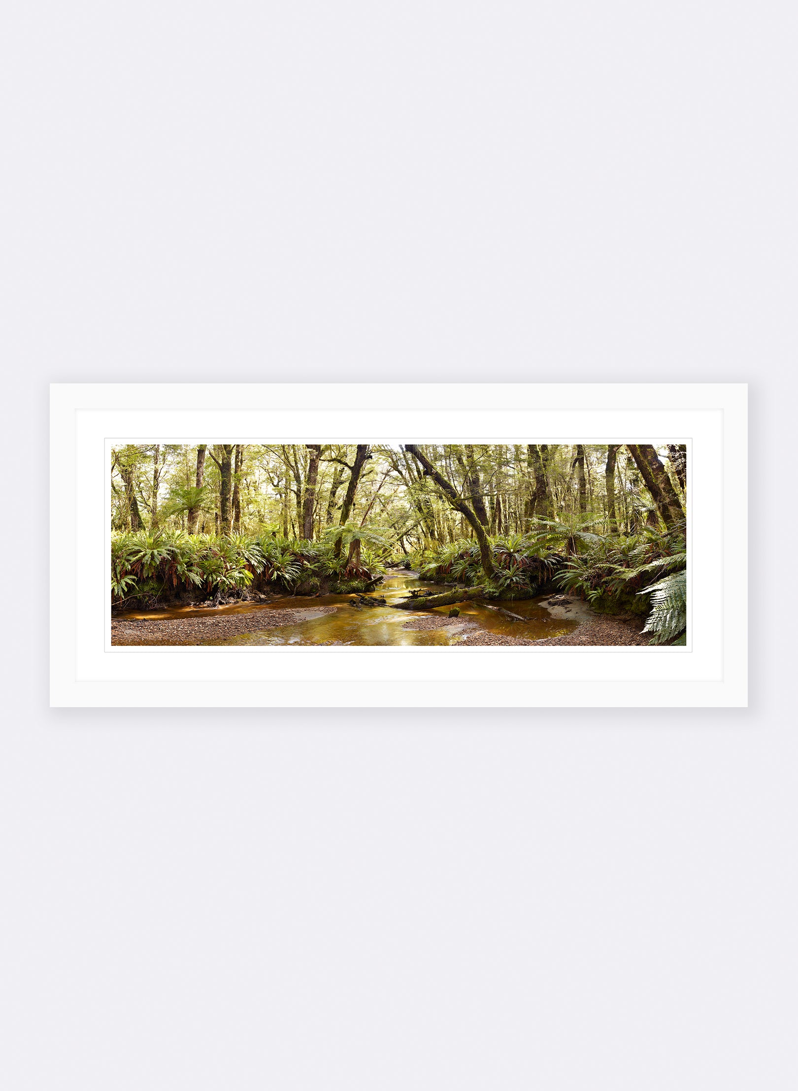 Solitude - Photographic Print