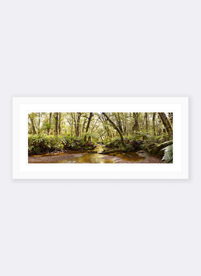 Solitude - Photographic Print