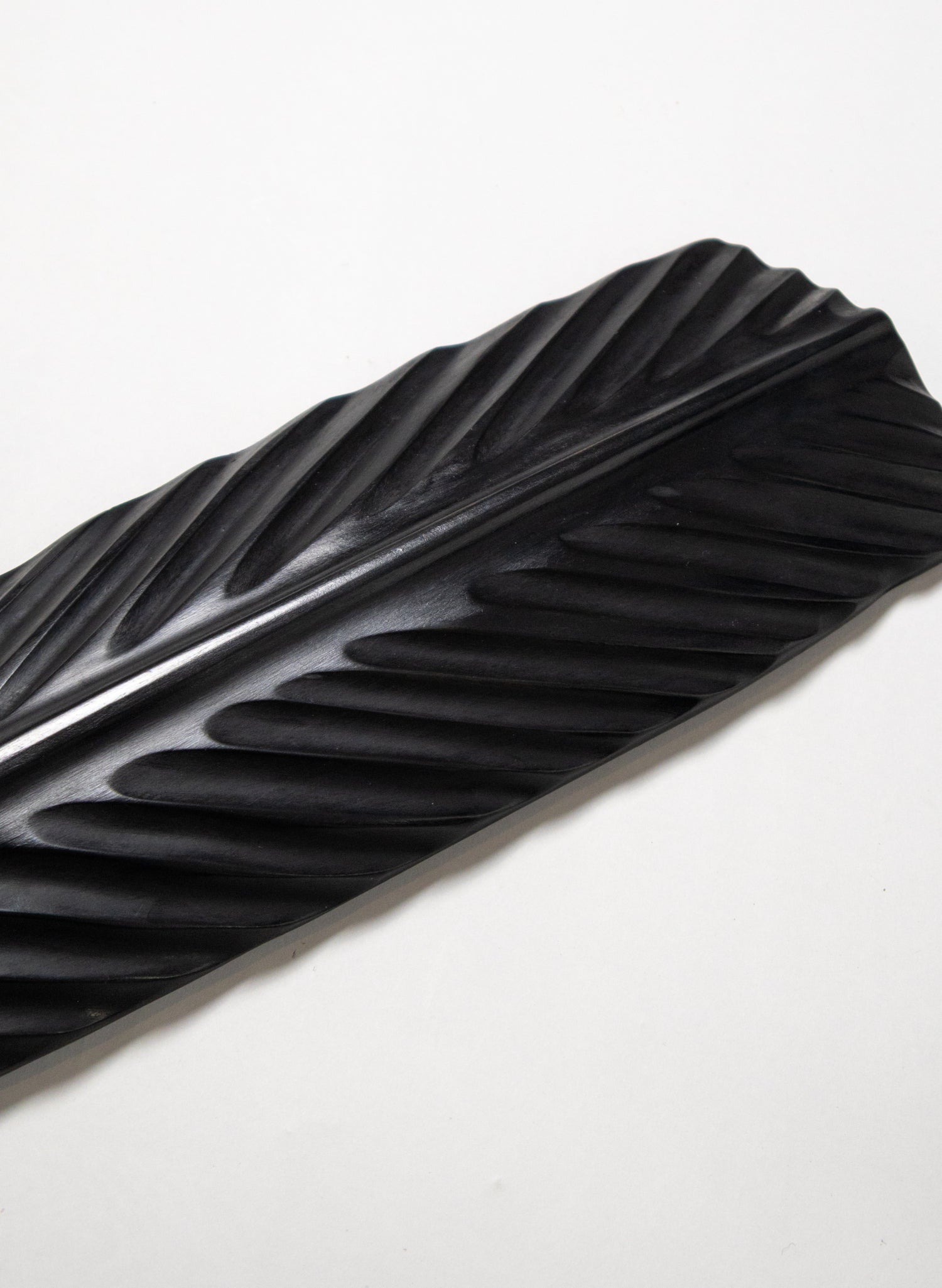 Black Huia Feather Swamp Kauri 650mm
