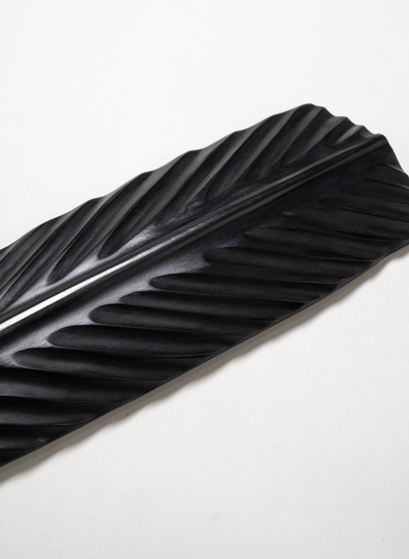 Black Huia Feather Swamp Kauri 650mm