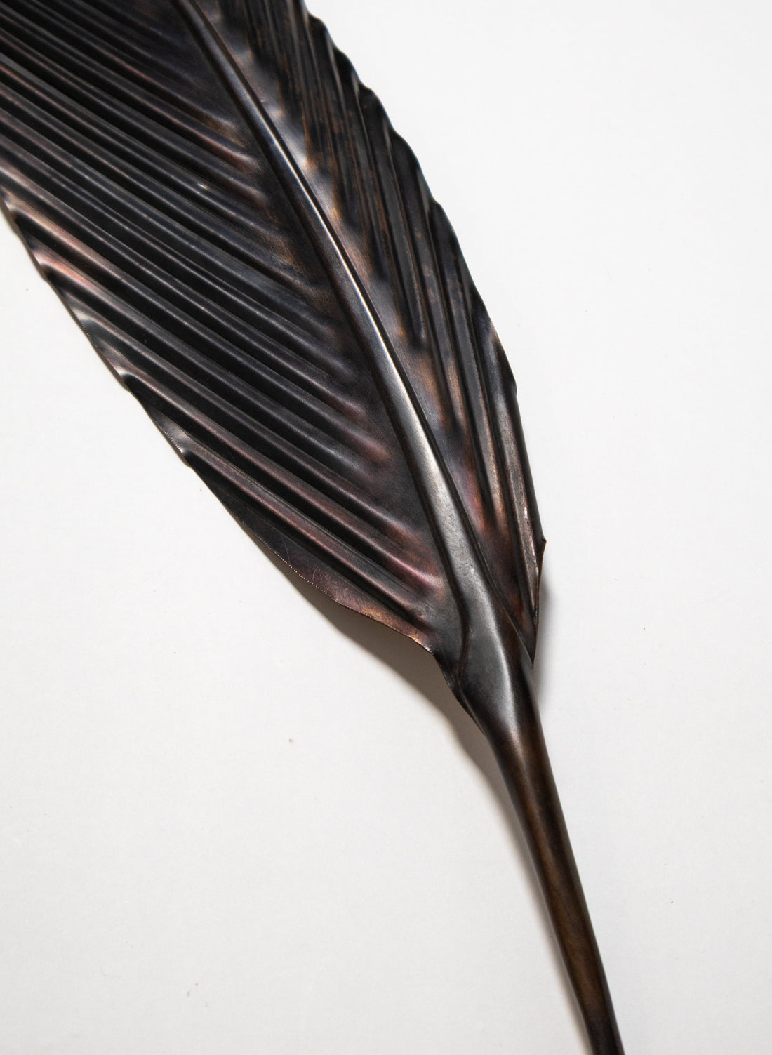 Kārearea Feather Copper 570mm