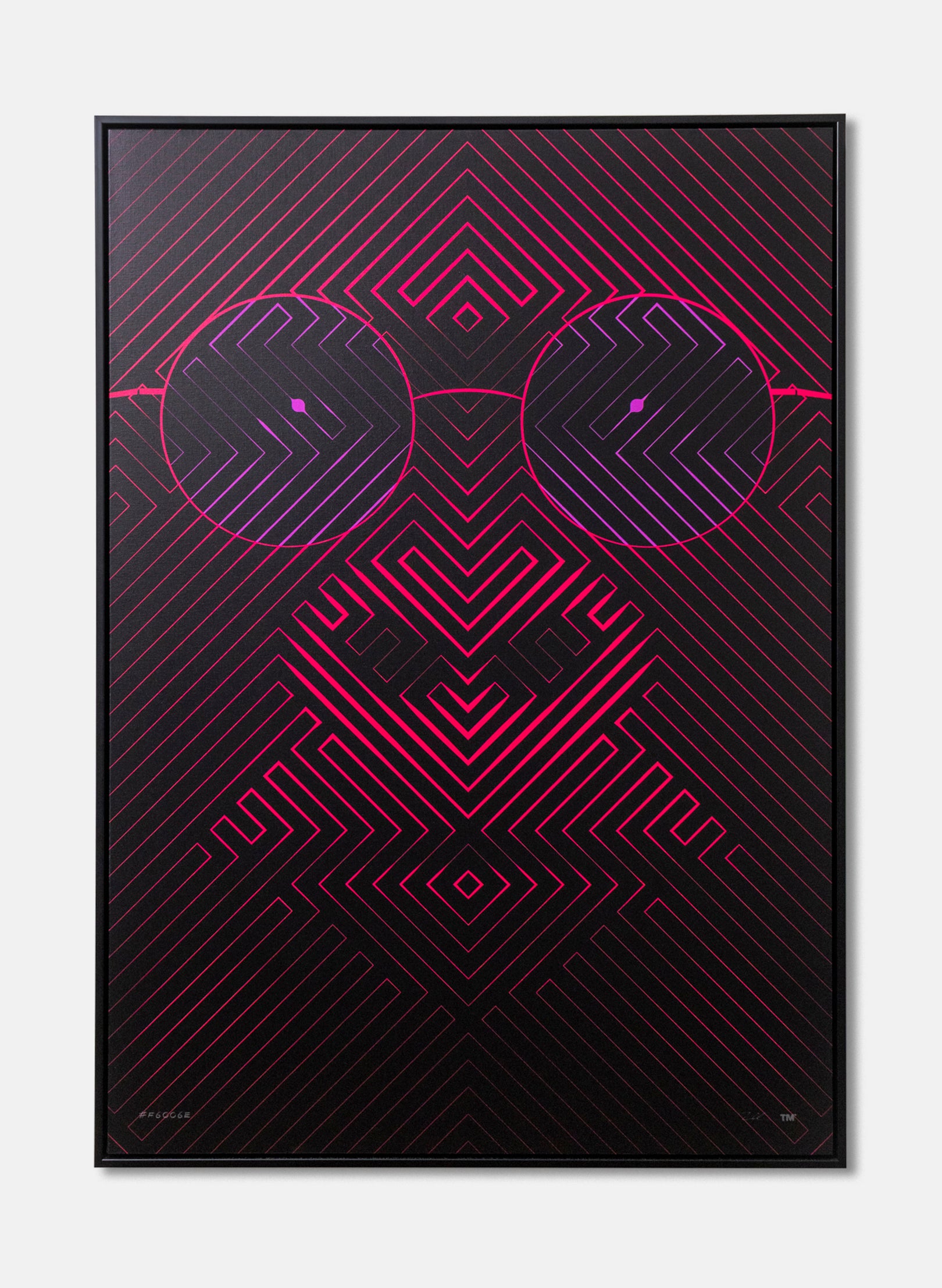 Professor Congo