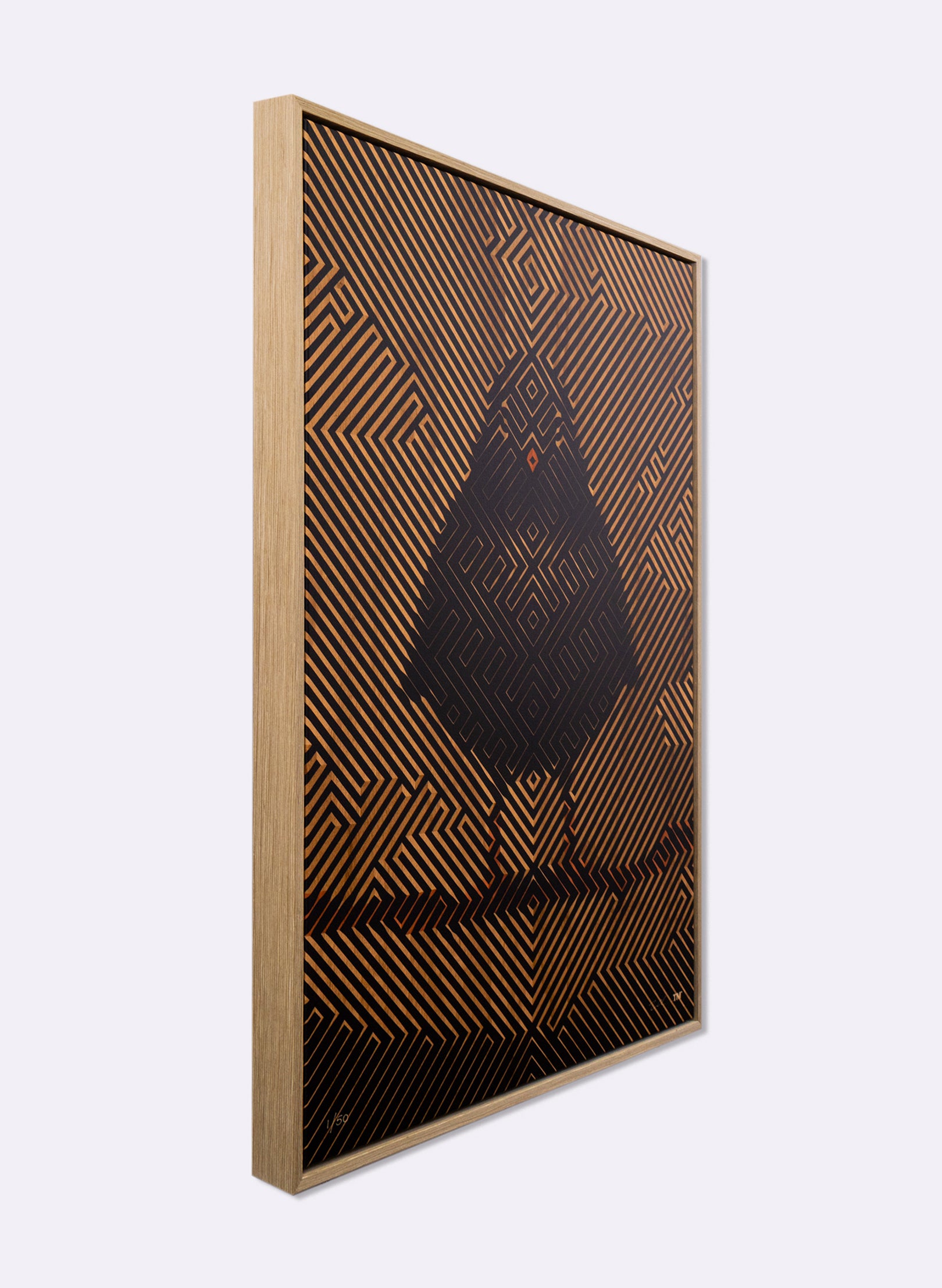 Woodland Black Robin