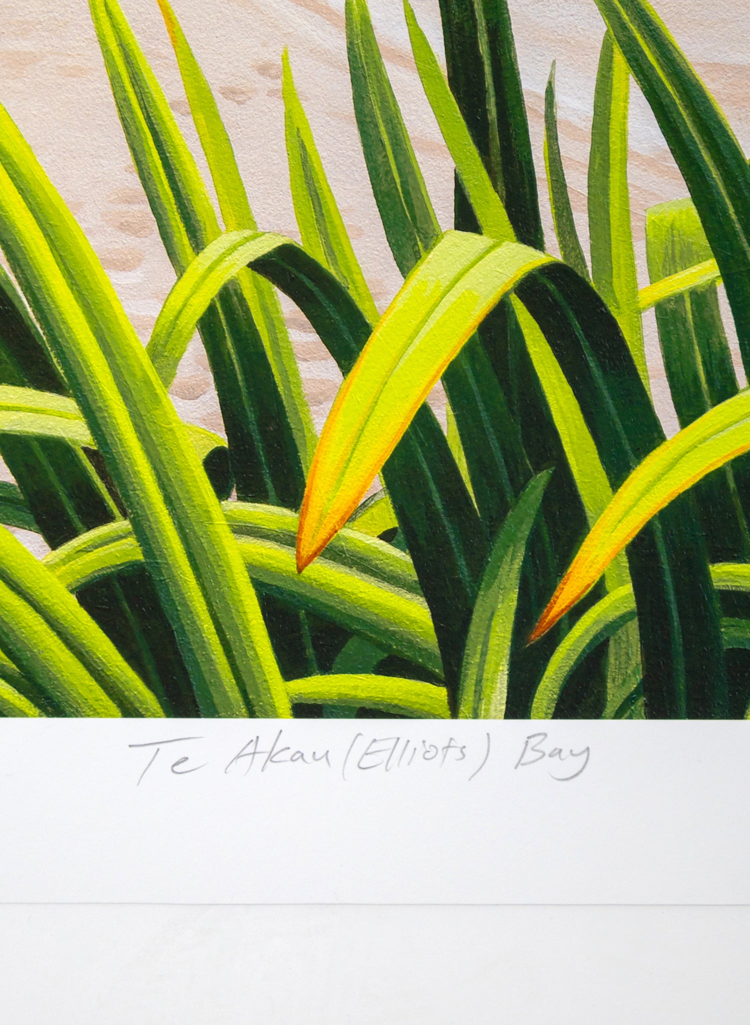 Te Akau / Elliots Bay / Northland - Giclée Print