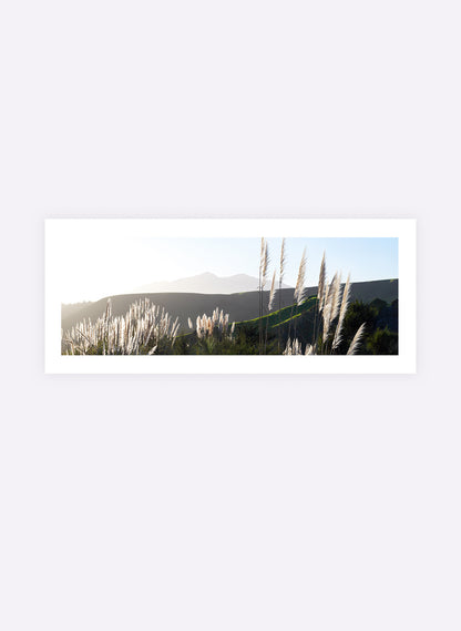 The Road To Pirongia - Photographic Print