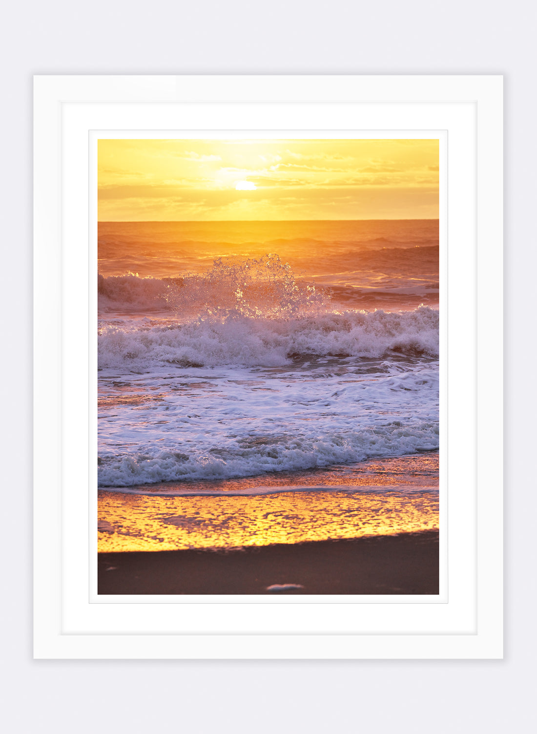 The Circle Of Life - Photographic Print