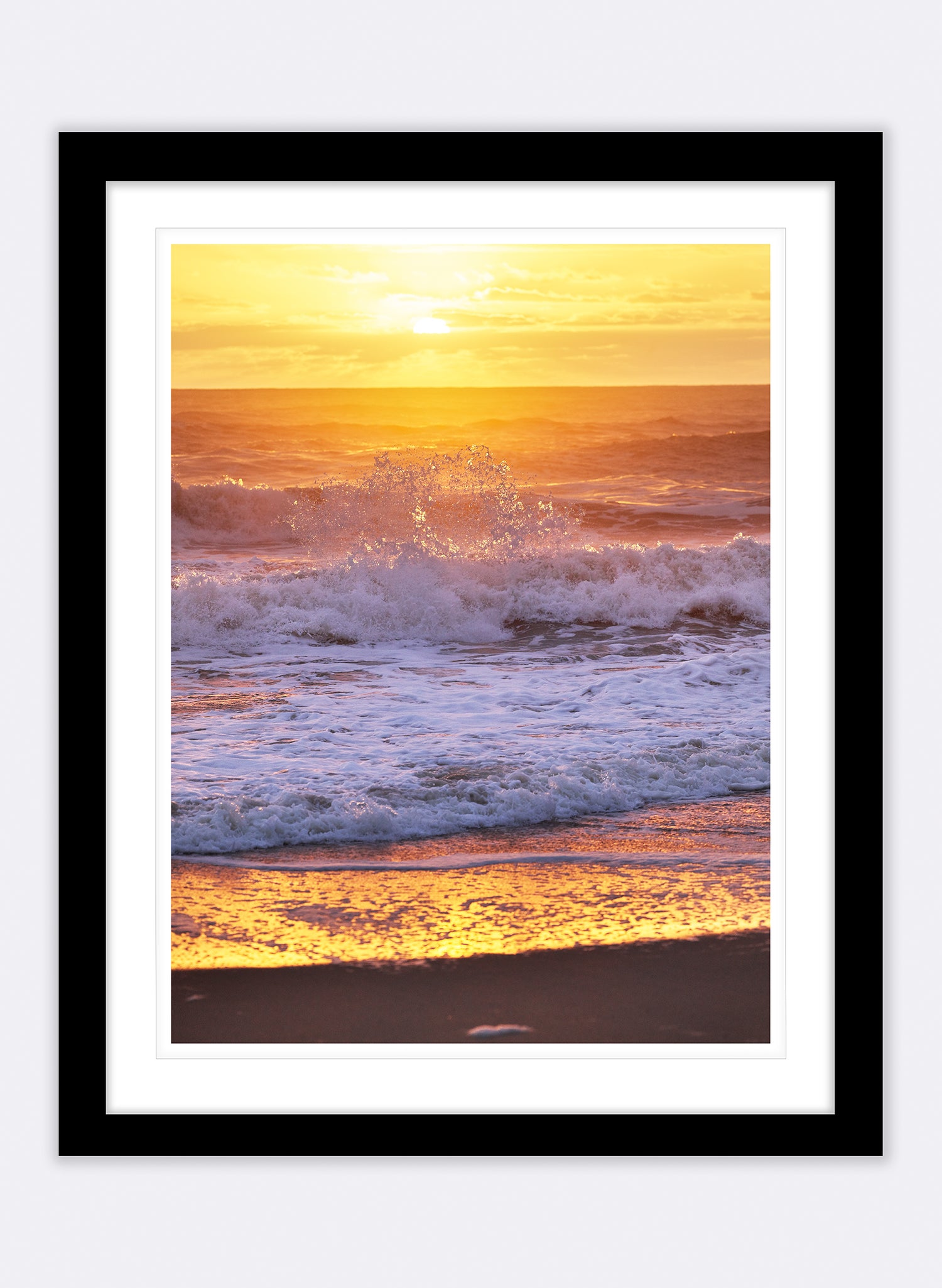 The Circle Of Life - Photographic Print