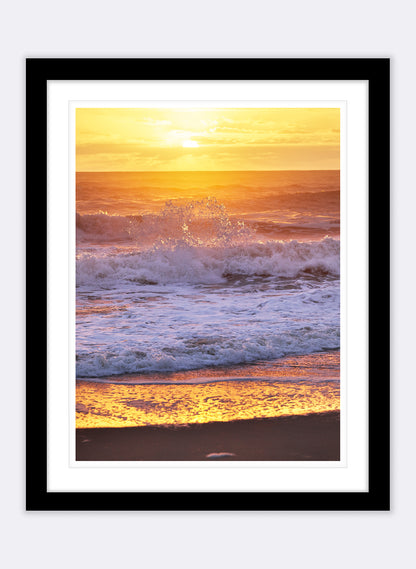 The Circle Of Life - Photographic Print