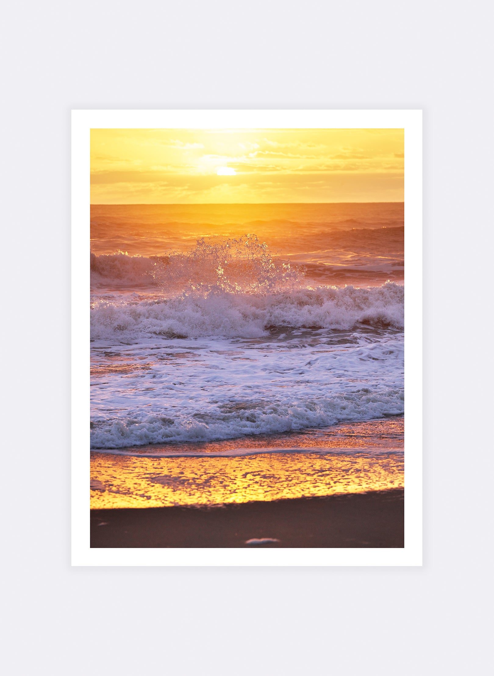 The Circle Of Life - Photographic Print