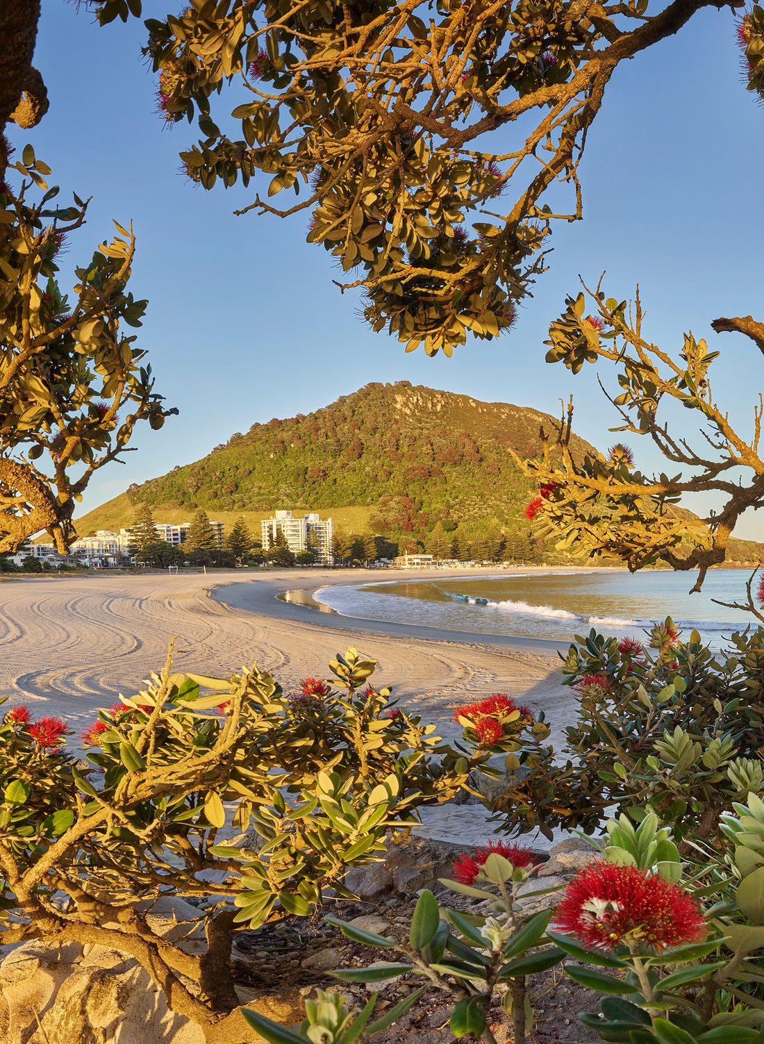 The Mount - Photographic Print