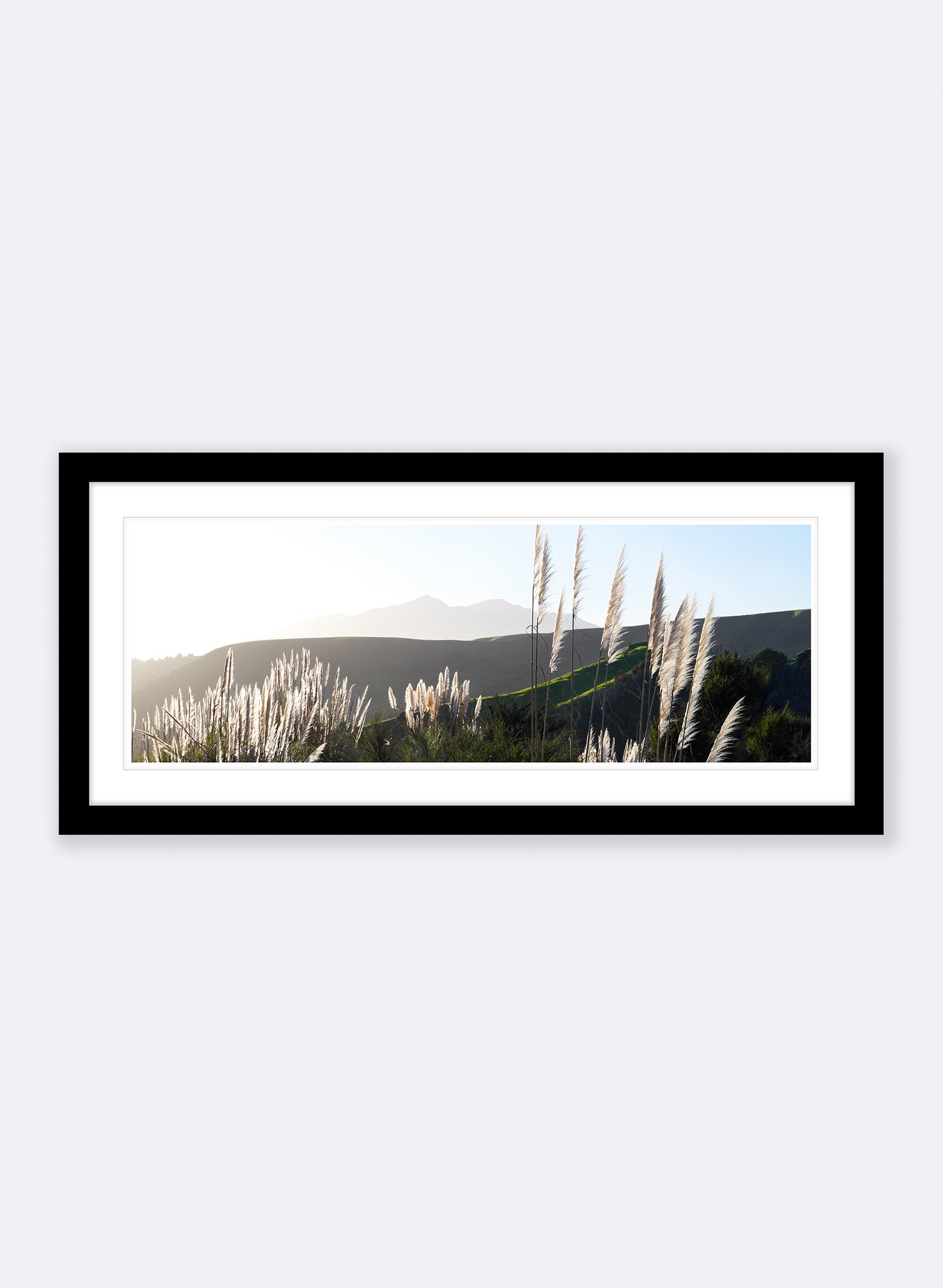 The Road To Pirongia - Photographic Print