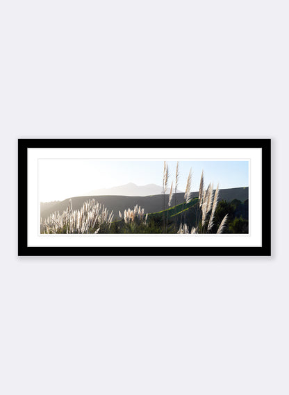 The Road To Pirongia - Photographic Print