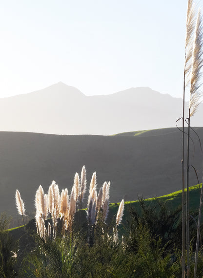 The Road To Pirongia - Photographic Print