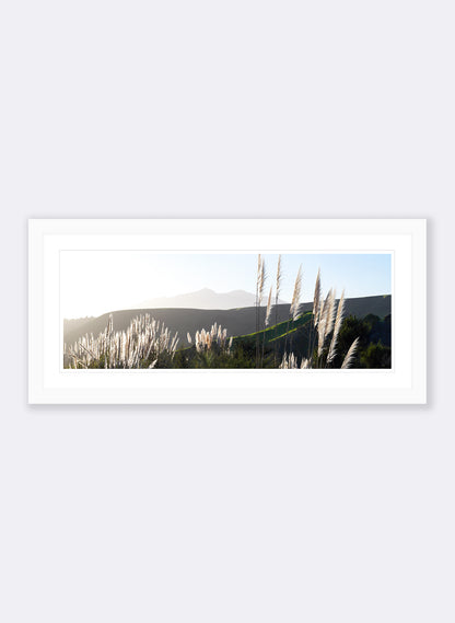 The Road To Pirongia - Photographic Print