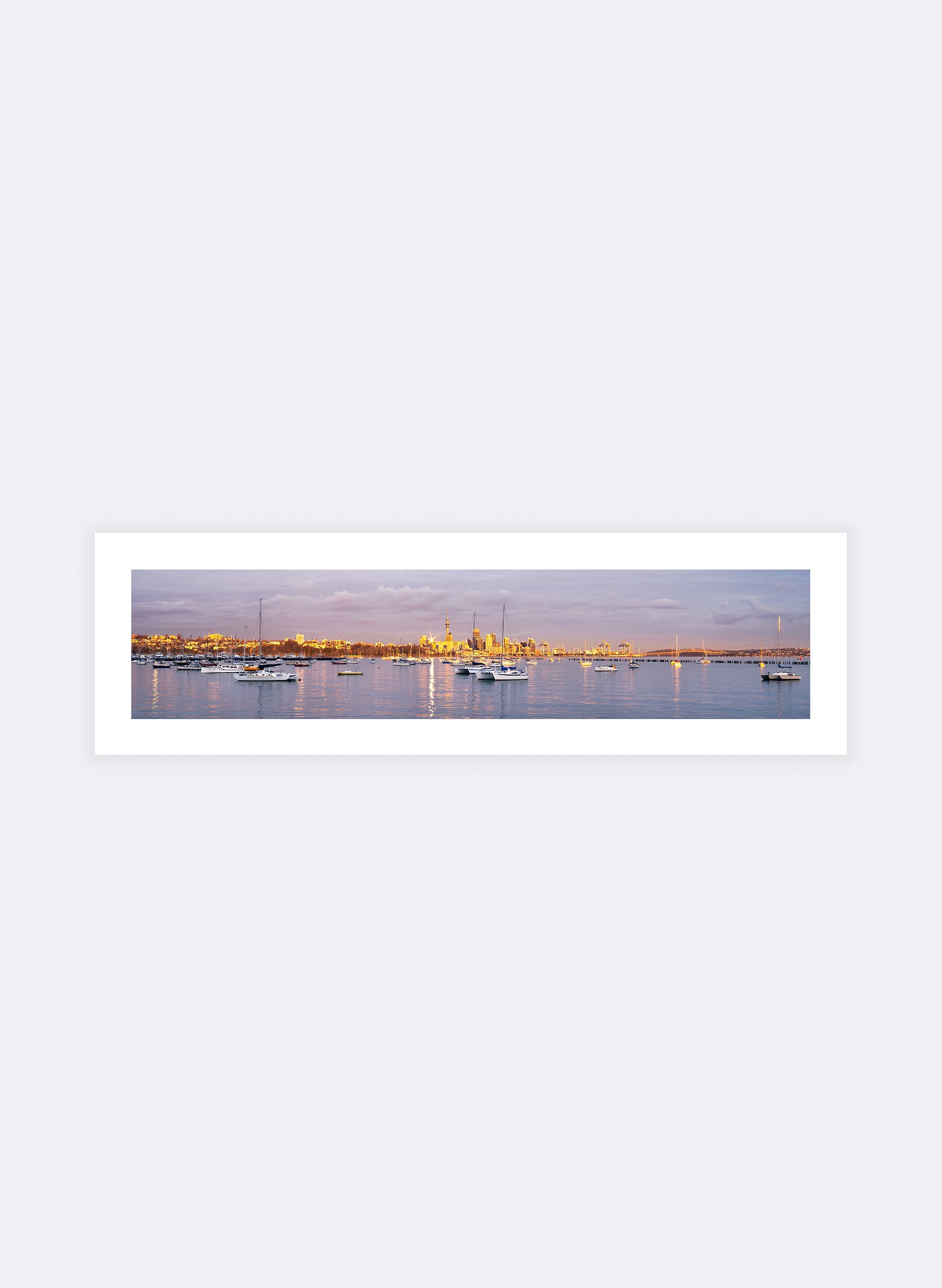 True Colours - Photographic Print