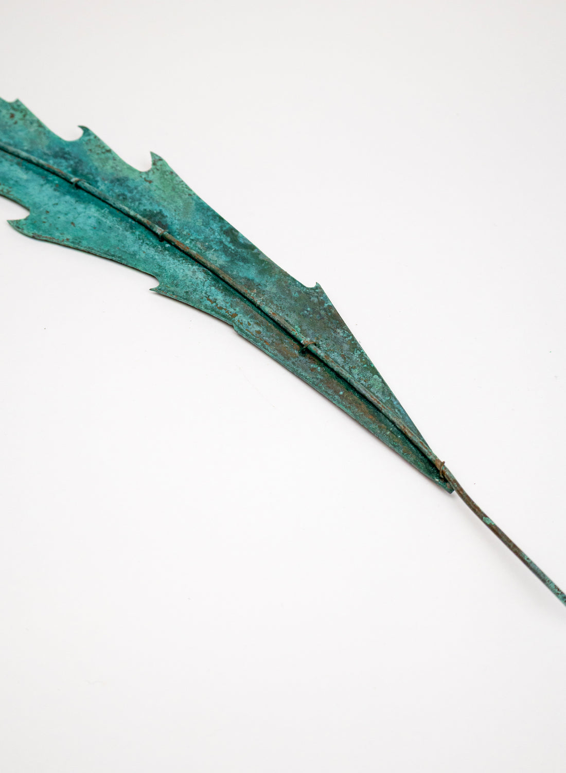 Lancewood Leaf