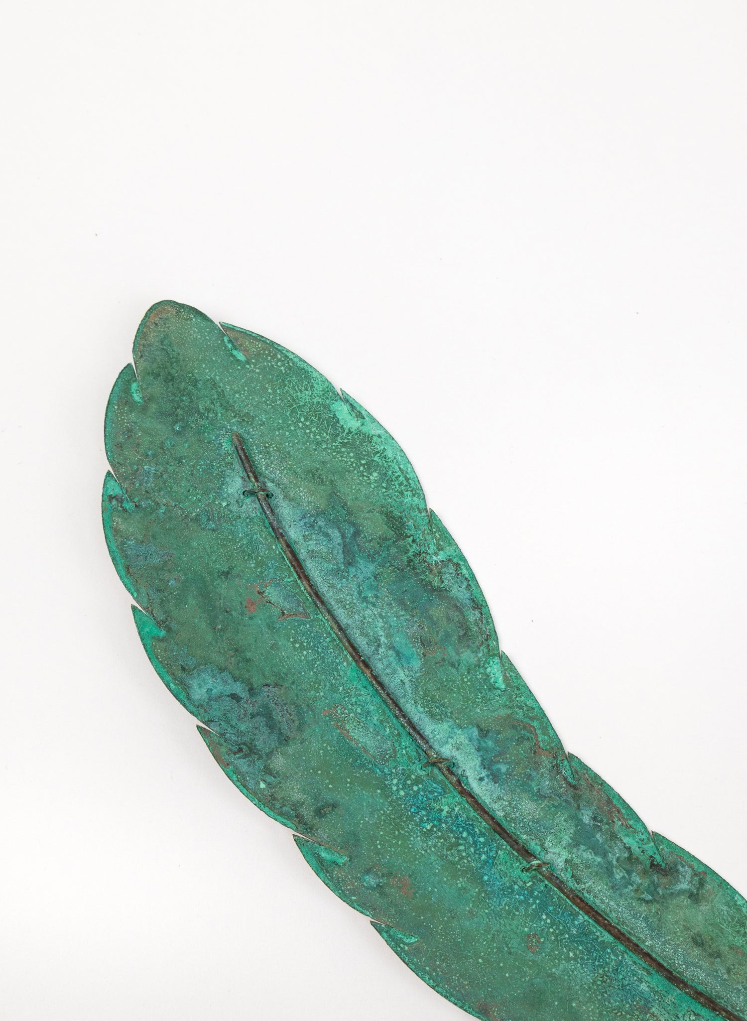 Curved Leaf