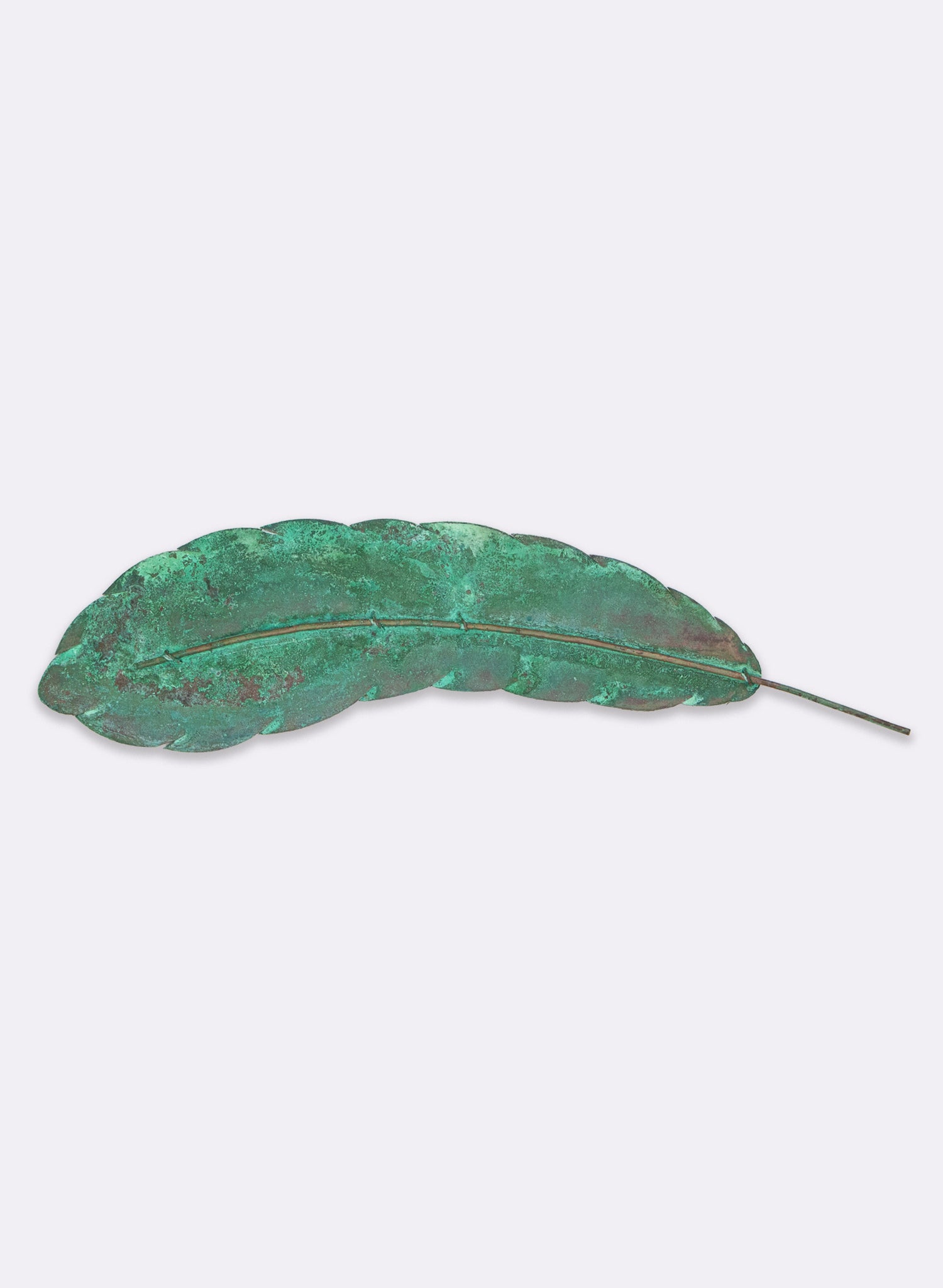 Curved Feather