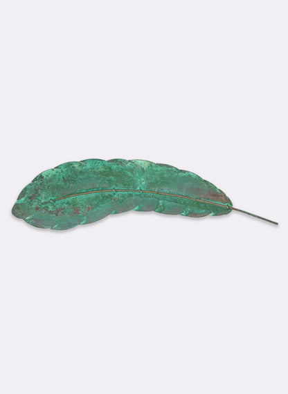 Curved Feather